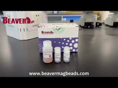 BeaverBeads Perlas magnéticas Streptavidin SA Diámetro 1um Chemiluminescence Proba de clasificación de células C