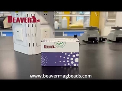 BeaverBeads TM Mag NH2 Magnetic Beads Video de desempaquetado