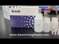 BeaverBeads exonera el vientre la estabilidad de Kit Extract Nucleic Acid Excellent del ARN