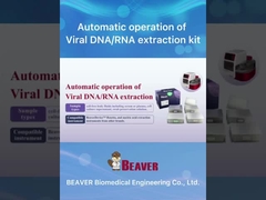 Kit de extracción y purificación de ácido nucleico BeaverBeadsTM Método de extracción con perlas magnéticas