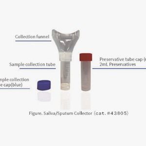 Equipos de la colección de la muestra de la saliva para recoger el tubo de la colección de las muestras 10mL de la saliva