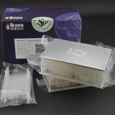 Calidad  Viral DNA RNA Kit Nucleic Acid Extraction Kits Prefilled Plates 32 Reactions U Bottom Fábrica