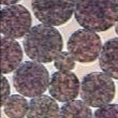 Calidad  5 mL NHS Activated Magnetic Beads Preactivated N - Hydroxy Succinimide Nanoparticle Fábrica