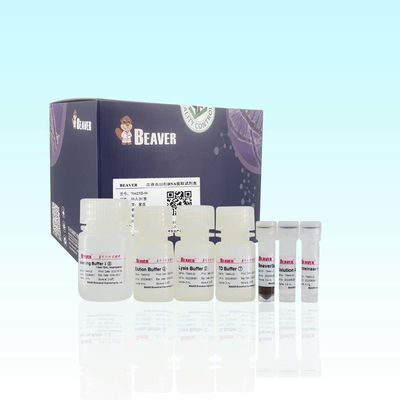 Pureza elevada de la DNA de la DNA Kit For Extract de la sangre de BeaverBeads