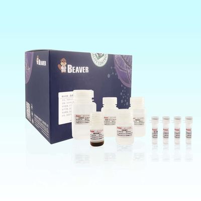 DNA de Kit Extract de la extracción de la DNA de la sangre usada para ordenar y la detección