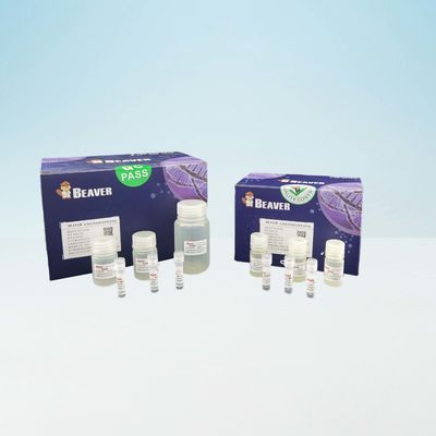 Rápidamente DNA Kit For Laboratory Use de la sangre de BeaverBeads