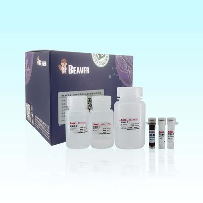 ARN viral animal Kit For Scientific Research de la DNA de 20 Rxns BeaverBeads
