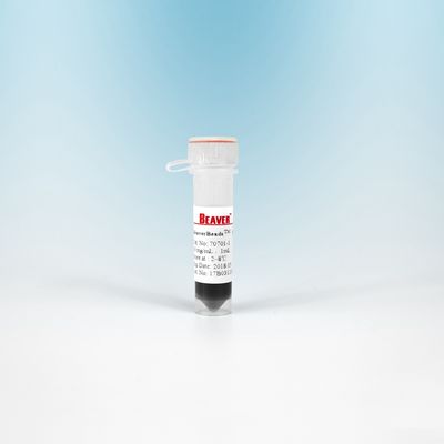 Gotas magnéticas NHS 300 nanómetro de 10 ml BeaverBeads para el aislamiento de la célula con una sensibilidad más alta