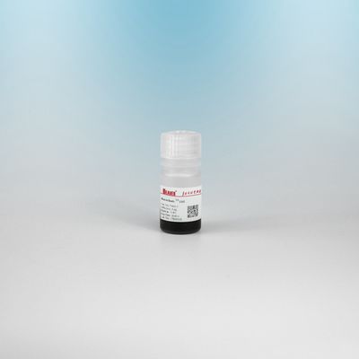 BEAVER GST Fusión de proteínas purificadas con perlas GSH Magnéticas Perlas Purificación de proteínas Nuevo material funcional Diseñado kit GSH GST purificación de proteínas