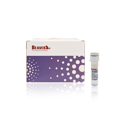 BEAVER GST Fusión de proteínas purificadas con perlas GSH Magnéticas Perlas Purificación de proteínas Nuevo material funcional Diseñado kit GSH GST purificación de proteínas