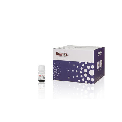 BEAVER GST Fusión de proteínas purificadas con perlas GSH Magnéticas Perlas Purificación de proteínas Nuevo material funcional Diseñado kit GSH GST purificación de proteínas