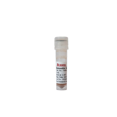 BEAVER GST Fusión de proteínas purificadas con perlas GSH Magnéticas Perlas Purificación de proteínas Nuevo material funcional Diseñado kit GSH GST purificación de proteínas