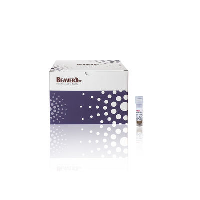 BeaverBeads® Anti-HA Perlas magnéticas HA etiqueta de purificación de proteínas Perlas magnéticas 0,5 mL / 1 mL / 5 mL Perlas de HA-proteína