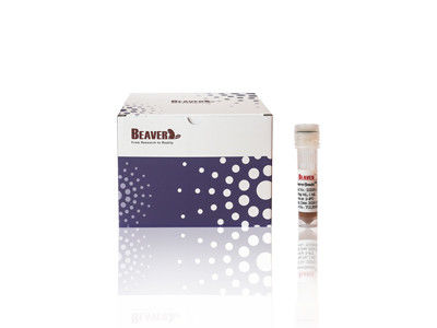 100 ml de BeaverBeads IDA-Co con alto rendimiento y bajo costo 30-150um 10% de concentración
