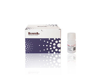 Mag OH Perlas magnéticas Extracción de ADN Silicia Perlas magnéticas Fe3O4 1μm 10 mg / ml 50 mL