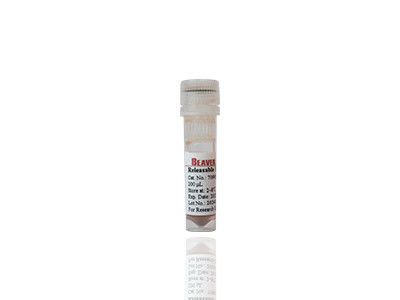 Mag OH Perlas magnéticas Extracción de ADN Silicia Perlas magnéticas Fe3O4 1μm 10 mg / ml 50 mL