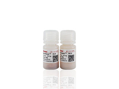 Mag COOH Magnetic Beads Polymer Carboxyl Magnetic Beads Immunodiagnosis Magnetic Beads 2μm 10 mg/mL 50 mL