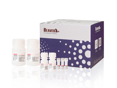 100 Rxns Kit de ARN de ADN viral de animales de cabeza de castor para un rendimiento automatizado y alto