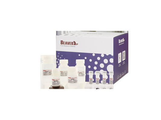 BeaverBeadsTM extracción de ADN / ARN sangre extracción de ácidos nucleicos cuentas magnéticas kits extracción de genoma extracción de ARN kit genómico