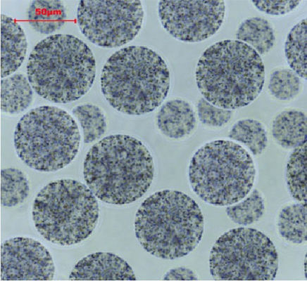 BeaverBeads 10-30μm Magros Streptavidin Magnetic Beads La solución definitiva para el enriquecimiento y purificación de proteínas