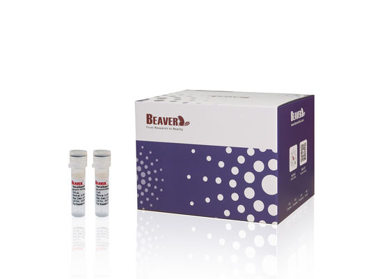 Kit de ácido nucleico BeaverBeadsTM Reactivo de purificación de PCR para recuperar ADN y eliminar impurezas de productos de PCR