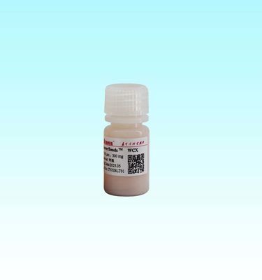 Microesferas magnéticas WCX con núcleo de polímero de 15-50 µm con núcleo magnético de Fe3O4 y alta área superficial específica de 700-850 M2/g