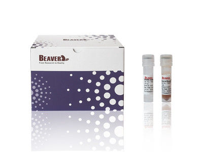 Kit de aislamiento de células CD4 de ratón BeaverBeads certificado CE para investigación de laboratorio