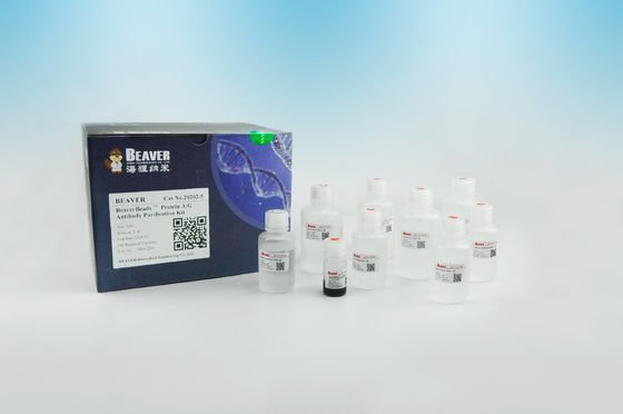 Purificación magnética los 2μm de la proteína de las gotas del anticuerpo de la proteína A/G 30 mg/ml 5 ml