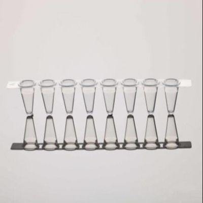 El tubo de la polimerización en cadena 8-Strip capsula las tiras de tubo claras de la polimerización en cadena del ajuste 0.2mL para el qPCR