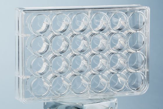 Poliestireno bien de los materiales consumibles del cultivo celular de la placa del laboratorio 24