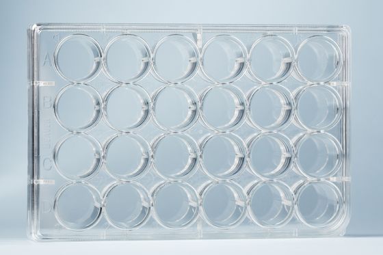Poliestireno bien de los materiales consumibles del cultivo celular de la placa del laboratorio 24