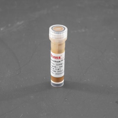 gotas magnéticas de 300nm Streptavidin para la célula que clasifica captura de la punta de prueba 10 mg/ml 1 ml