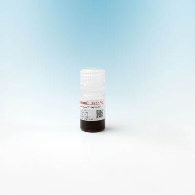 Gotas magnéticas de la silicona del mag OH para la extracción 500nm de la DNA 10 mg/ml 5 ml