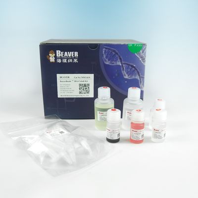 μm 150 su ratio del volumen de IDA Cobalt Magbeads Kit el 10% de la purificación de la proteína de la etiqueta