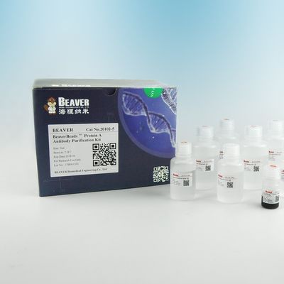 Purificación magnética los 2μm de la proteína de las gotas del anticuerpo de la proteína A 30 mg/ml 5 ml