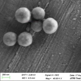 gotas magnéticas de la silicona de 50 ml 500nm para la extracción de la DNA en diversos sistemas del almacenador intermediario